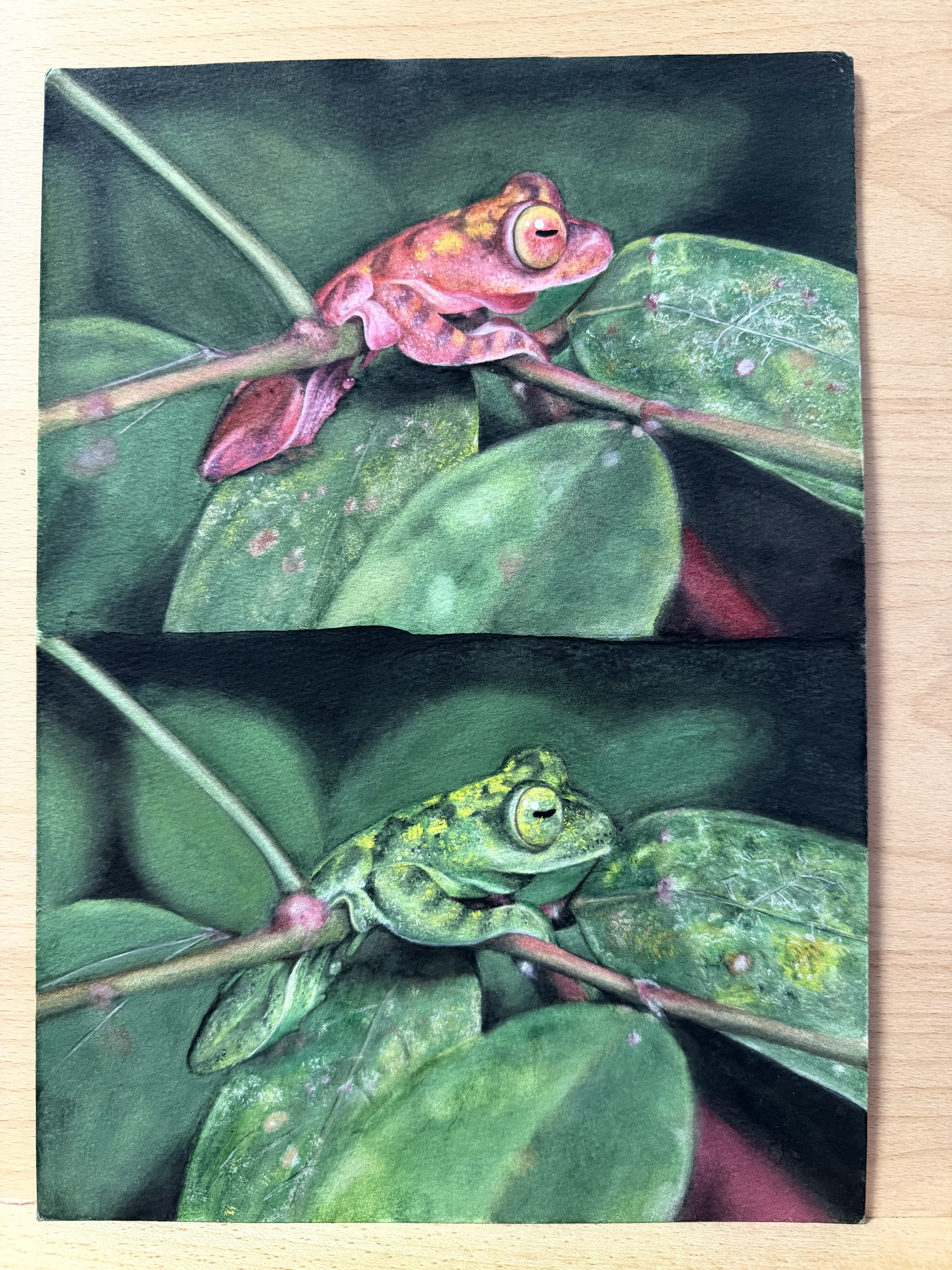 Drawings with life